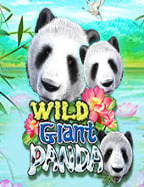 บ่า ค่า ร่าฝาก 20 รับ 100 2021 เล่นเพลินๆ กับโปรสุดคุ้ม!